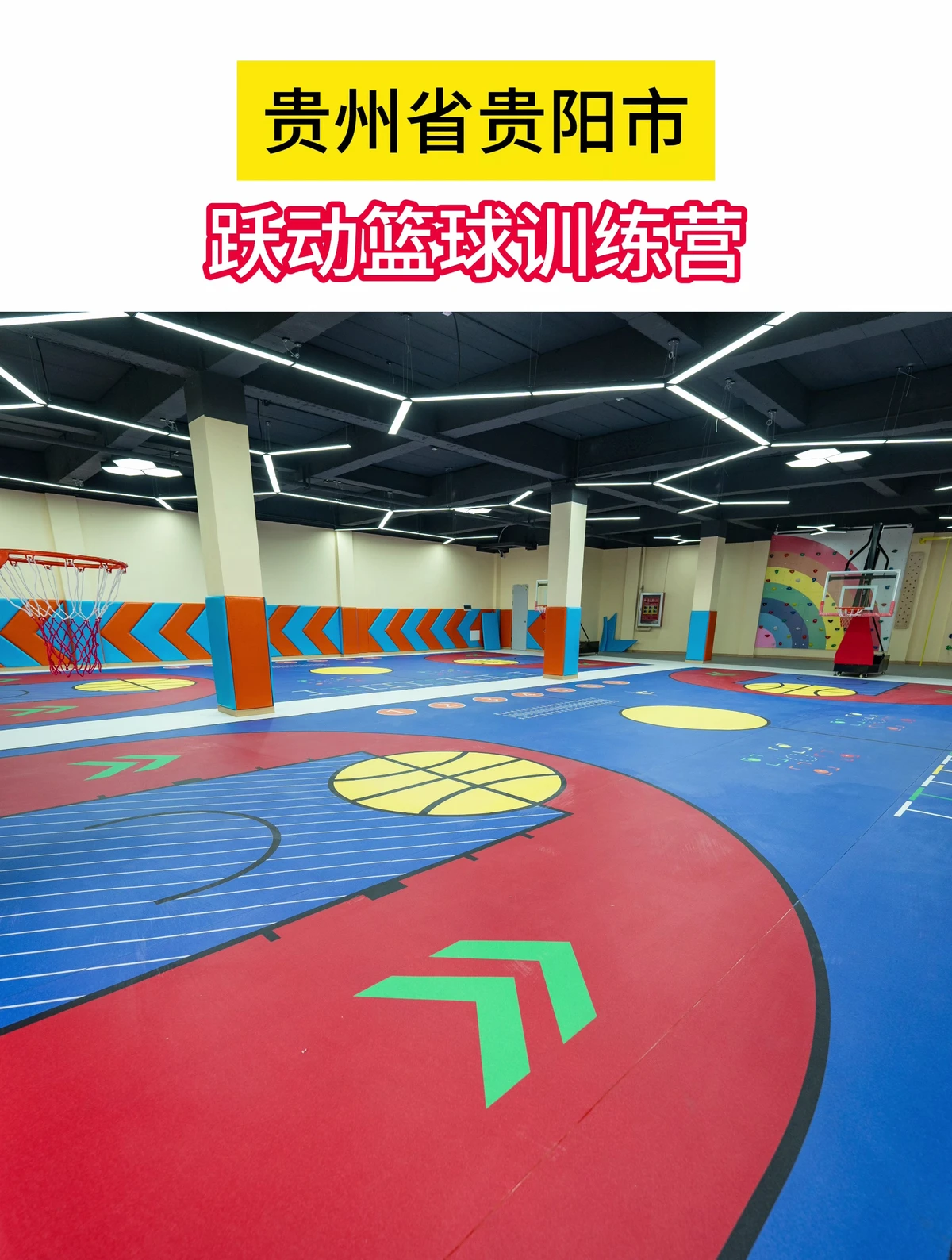 为什么篮球后卫需要特别的体能训练_0